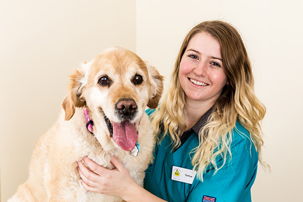Vet Hobart Lindisfarne Veterinary Clinic Open 6 Days a Week