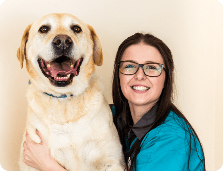 Dog Care Lindisfarne Veterinary Clinic